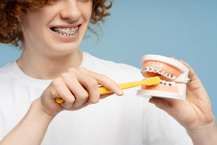 برای تمیز کردن سطح جونده، از مسواک با سری بزرگتر استفاده کنید.